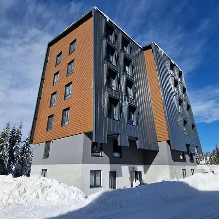 Apartment N&v, Mont